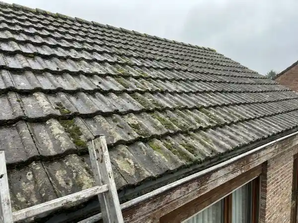 Betonpannendak met mos en verbleekte kleur
