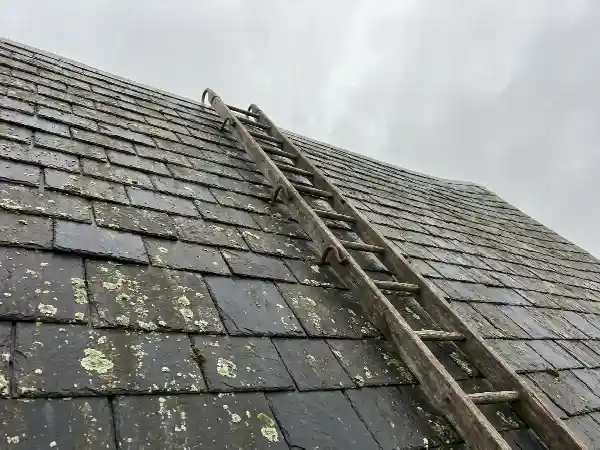 Leien dak met korstmos en een dakladder