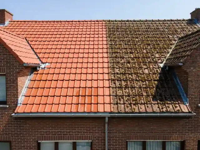 Pannendak half ontmost, met het verschil tussen proper en bemost