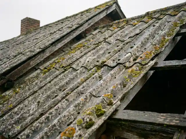 Oude vezelcementleien met korstmos op een bijgebouw